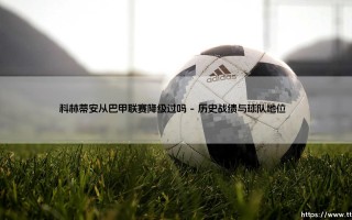科林蒂安从巴甲联赛降级过吗|体坛足球家