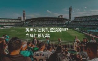 多特蒙德上一次德甲冠军是哪个赛季？黄黑军团上一次何时登顶德甲？