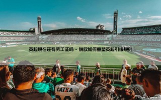 英超现在还有劳工证吗：足球与移民政策的复杂博弈