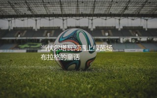 捷克队有哪些足球明星球员？当伏尔塔瓦河遇上绿茵场布拉格的童话