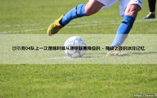 沙尔克04队上一次是啥时候从德甲联赛降级的？皇家蓝的至暗时刻：降级记忆与重生之路