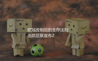 2024-2025赛季欧冠小组赛出线规则:欧冠改制后的生存法则