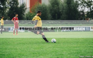 意甲裁判执法公正性讨论：绿茵场上的“第三队”？