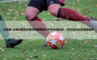 达维德-扎帕科斯塔：意甲联赛中被低估的战术拼图还是平庸过客？