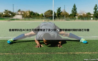 不败传奇的锋线尖刀：舍甫琴科在AC米兰不败赛季进了多少球