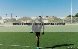 盖斯有没有中国球迷？当小众音乐在东方遇见孤独的回响