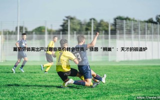 葡萄牙体育出产过哪些高价转会球员（足球那些事儿）