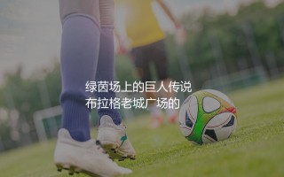 捷克队历史最佳射手是谁?绿茵场上的巨人传说