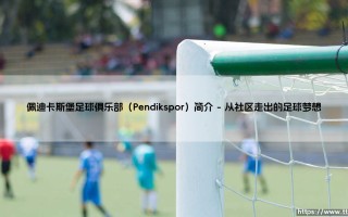 佩迪卡斯堡足球俱乐部：一支怎样的球队？揭开土超新军的神秘面纱