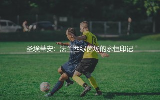 圣埃蒂安在法国足球的地位(法兰西绿茵场的永恒印记)