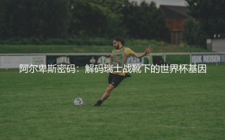 瑞士队参加过几次世界杯？阿尔卑斯密码：解码瑞士战靴下的世界杯基因