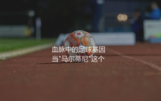 丹尼尔·马尔蒂尼技术特点：血脉中的足球基因