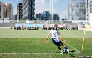 丹麦超大小球盘口走势：如何精准捕捉进球盛宴？「深度解析丹麦超大小球盘口走势」