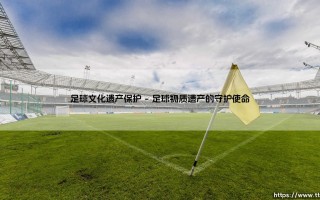 足球文化遗产保护：守护绿茵场上的永恒记忆