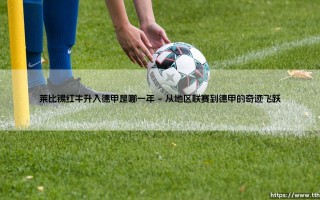莱比锡红牛升入德甲：一支球队如何用十年改写德国足球格局？
