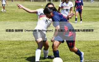 哈里森·施林顿：他是谁？——探秘哈里森·施林顿的非凡人生轨迹