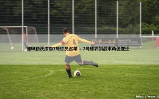 德甲勒沃库森7号球员名单：号码背后的传承与变革