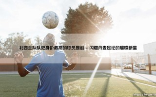 北西兰队史身价最高的球员是谁
