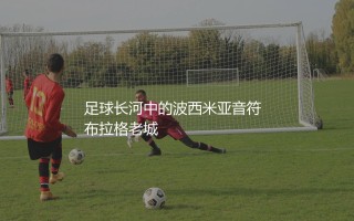 捷克队参加过几次世界杯？足球长河中的波西米亚音符