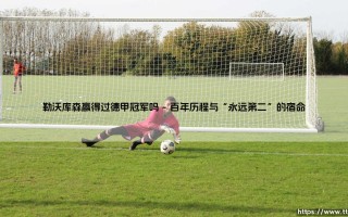 勒沃库森赢得过德甲冠军吗？一段跨越世纪的漫长守望