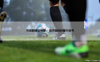 瓦埃勒降级预警：瓦埃勒面临的经济挑战与转型之路