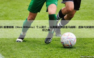 尼科·威廉姆斯：西班牙足坛的闪电新星与毕尔巴鄂的宝藏男孩