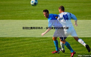 探秘欧冠比赛用球的独特魅力