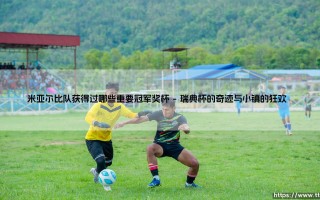 米亚尔比队获得过哪些重要冠军奖杯：一支小球队的荣耀与启示