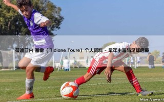 蒂迪亚内·图雷个人资料：从达喀尔街头到世界舞台的足球之路