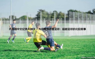 丹麦超中文纪录片制作：打开北欧足球的奇幻之窗