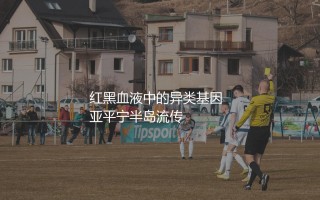 洛卡特利为什么离开AC米兰？红黑血液中的异类基因