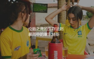 水晶宫队在英超是啥档次的队伍？伦敦之鹰的生存法则