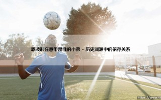 恩波利在意甲是谁的小弟-足坛风向标