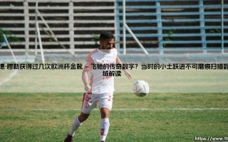 谁是欧洲杯金靴的真正王者？——盖德·穆勒：一段被传奇反复书写的射手史诗