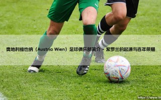 奥地利维也纳足球俱乐部：一座城市的足球心脏