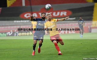 世界足坛身高最高的10大前锋(足球新鲜事)