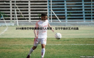 2018赛季巴甲联赛最佳十一人阵容的战术与传奇