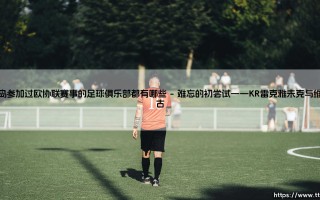 冰岛参加过欧协联赛事的足球俱乐部都有哪些（足球那些事儿）