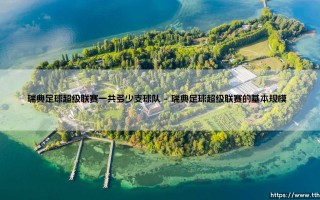 瑞典足球超级联赛到底有多少支球队？深入解析瑞超联赛规模