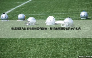在波鸿效力过的希腊球星有哪些——天体足球