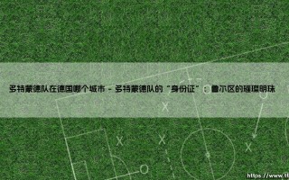 多特蒙德队在德国哪个城市？「黄黑军团」的故乡究竟在何处？