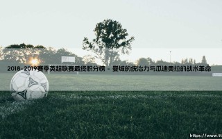 2018-2019赛季英超联赛最终积分榜：曼城卫冕与利物浦的悲壮史诗