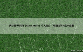 阿尔扬·马利克是谁？- 深入探寻「阿尔扬·马利克（Arjan Malic）」的独特世界