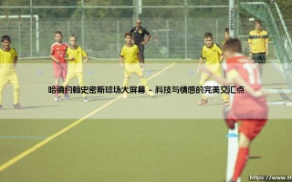 哈镇约翰史密斯球场大屏幕：现代足球观赛体验的心脏
