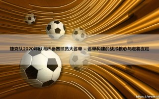 捷克队2020年欧洲杯参赛球员大名单深度解析