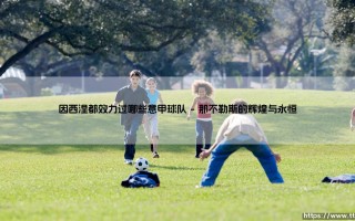 因西涅都效力过哪些意甲球队「足坛速递」