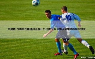 内曼贾·古德利在塞维利亚踢什么位置？解析古德利在塞维利亚的战术角色