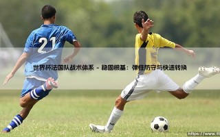 世界杯法国队战术体系：解析高卢雄鸡的制胜战术体系