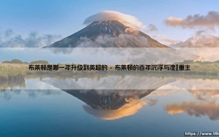 布莱顿升入英超的里程碑：2017年改写海鸥军团历史