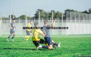 瑞典超青训强不强：北欧足球的明日之星孵化器
